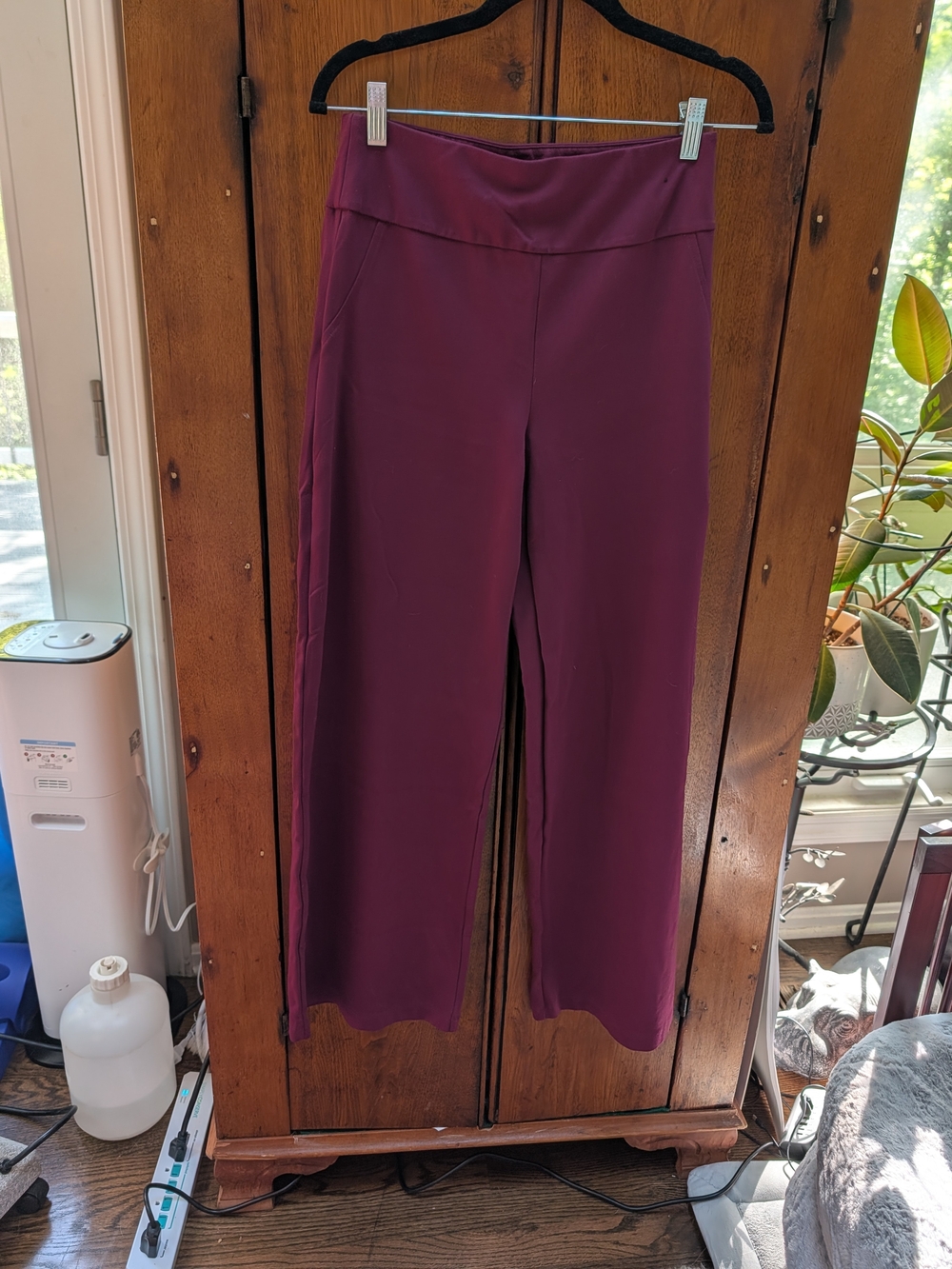 Wide-Leg High-Rise Pants in Deep Plum/Burgundy